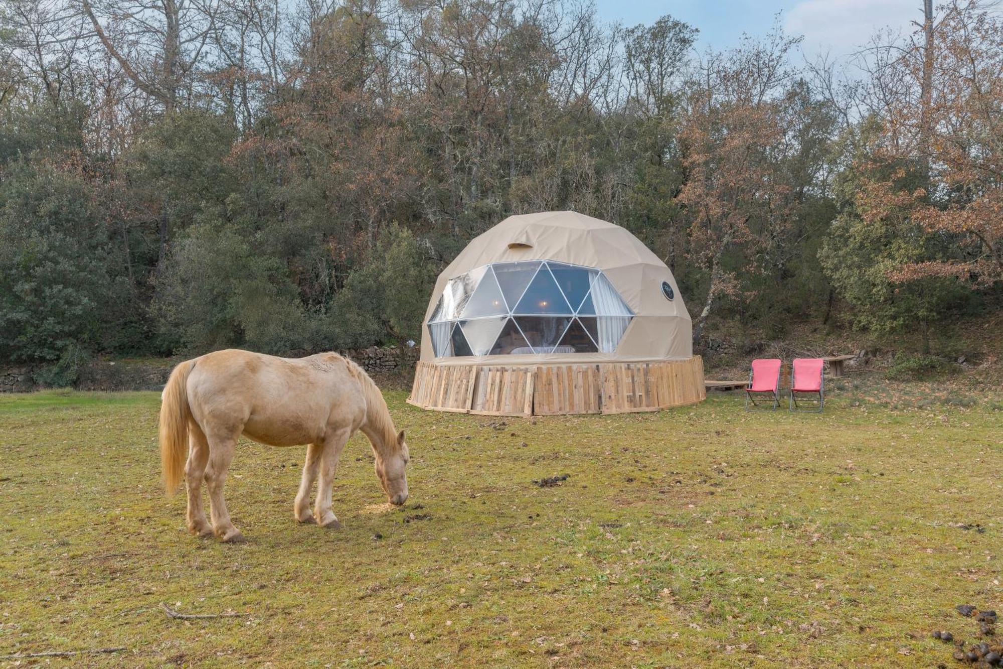 La Cabane Aux Chevaux Varages Exterior foto